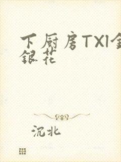 下厨房TXl金银花