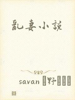乱妻小说