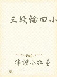 三线轮回小说