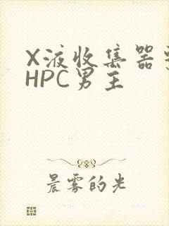 X液收集器系统HPC男主
