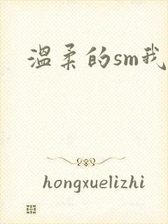 温柔的sm我