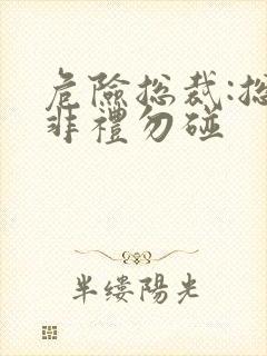危险总裁:总裁非礼勿碰