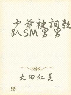 少爷被调教室跪趴SM男男