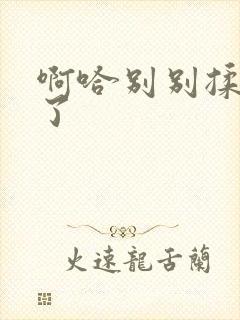 啊哈别别揉那处了