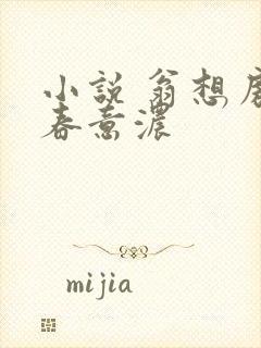 小说 翁想房中春意浓