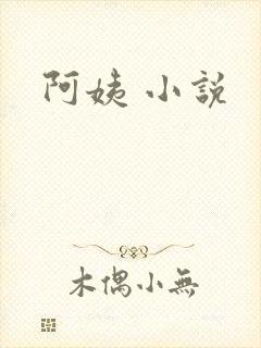 阿姨 小说