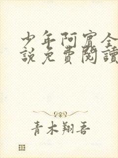 少年阿宾全文小说免费阅读笔趣阁