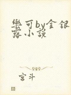 乐可by金银花露小说
