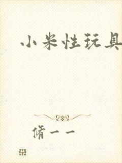 小米性玩具日记