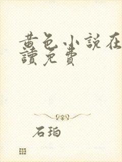 黄色小说在线阅读免费