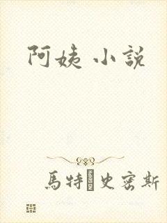 阿姨 小说