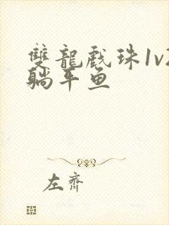 双龙戏珠1v2躺平鱼