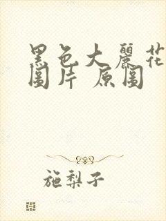 黑色大丽花真实图片 原图