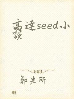 高达seed小说
