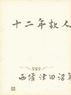 十二年故人戏