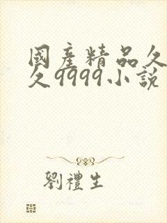 国产精品久久久久9999小说