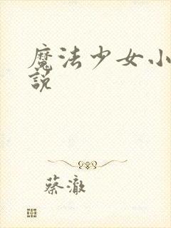 魔法少女小圆小说