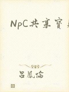 NpC共享宝贝