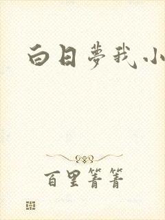 白日梦我小说