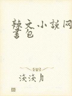 辣文小说网第二书包