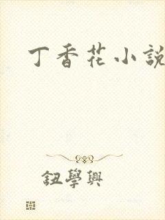 丁香花小说