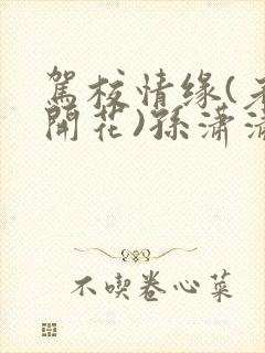 驾校情缘(老树开花)孙潇潇笔趣阁