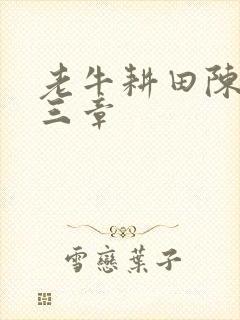 老牛耕田陈雪第三章