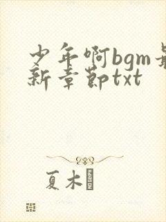 少年啊bgm最新章节txt