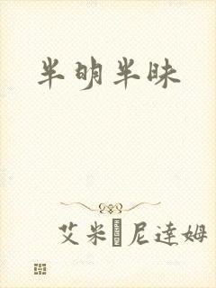 半明半昧
