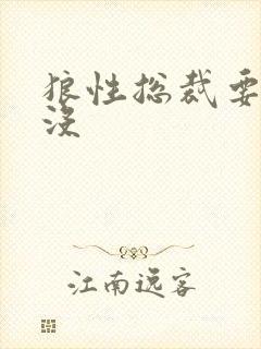 狼性总裁要够了没