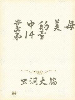 掌中的美母版主第14章