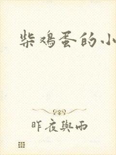 柴鸡蛋的小说