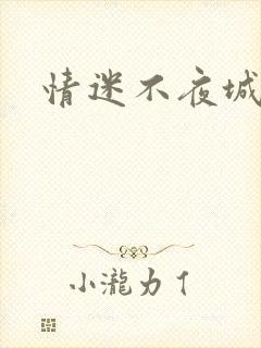 情迷不夜城