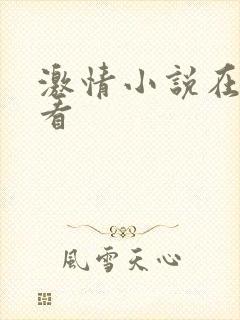 激情小说在线观看