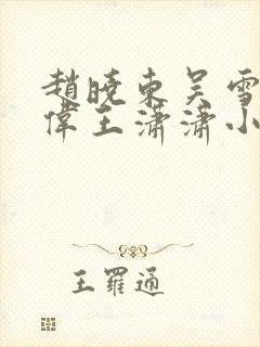 赵晓东吴雪晴郑伟王潇潇小说名字