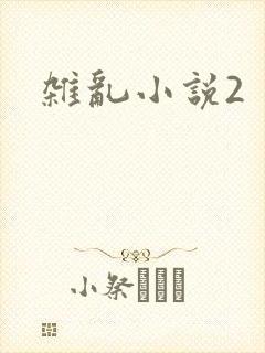 杂乱小说2