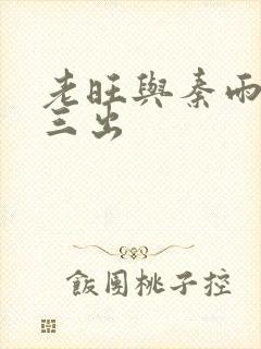 老旺与秦雨三进三出