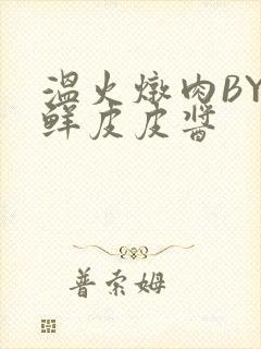 温火炖肉BY海鲜皮皮酱