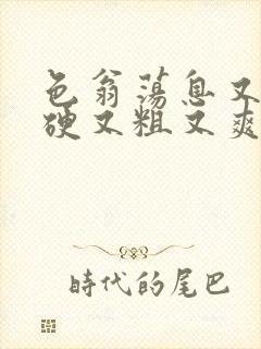 色翁荡息又大又硬又粗又爽