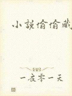 小说偷偷藏不住