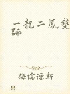 一龙二凤双飞老师