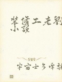 装修工老刘林雪小说