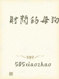财阀的母狗们