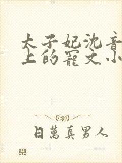 太子妃沈音和皇上的宠文小说