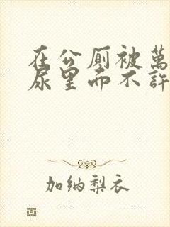 在公厕被万人c尿里面不许漏