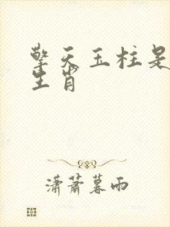 擎天玉柱是什么生肖