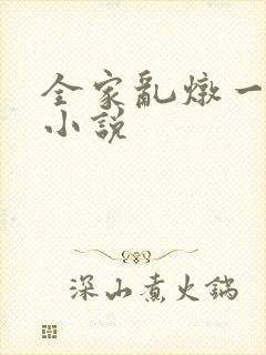 全家乱炖一锅烩小说