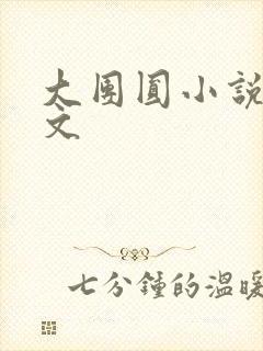 大团圆小说集全文