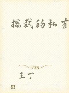 总裁的私有宝贝