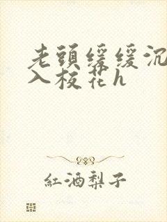 老头缓缓沉腰进入校花h